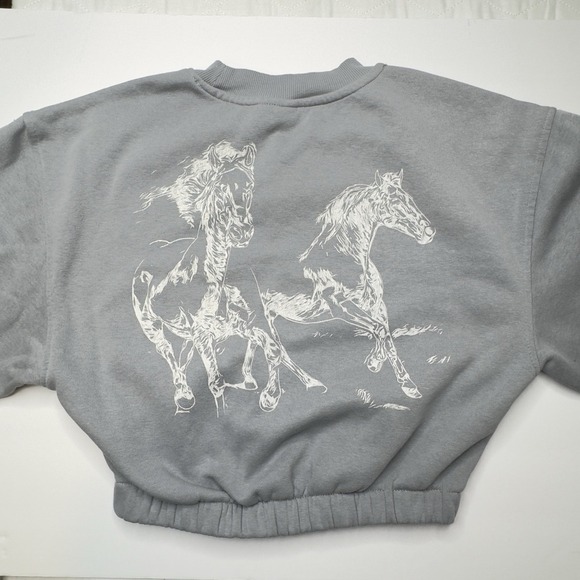 HM Divided‎ Womens Gray Top Cropped Long Sleeve Western Style Size:XS - Picture 4 of 13